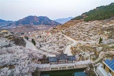 如何坐車去嶗山？嶗山的風景不僅吸引遊客，也引發了無數關於交通方式的討論。